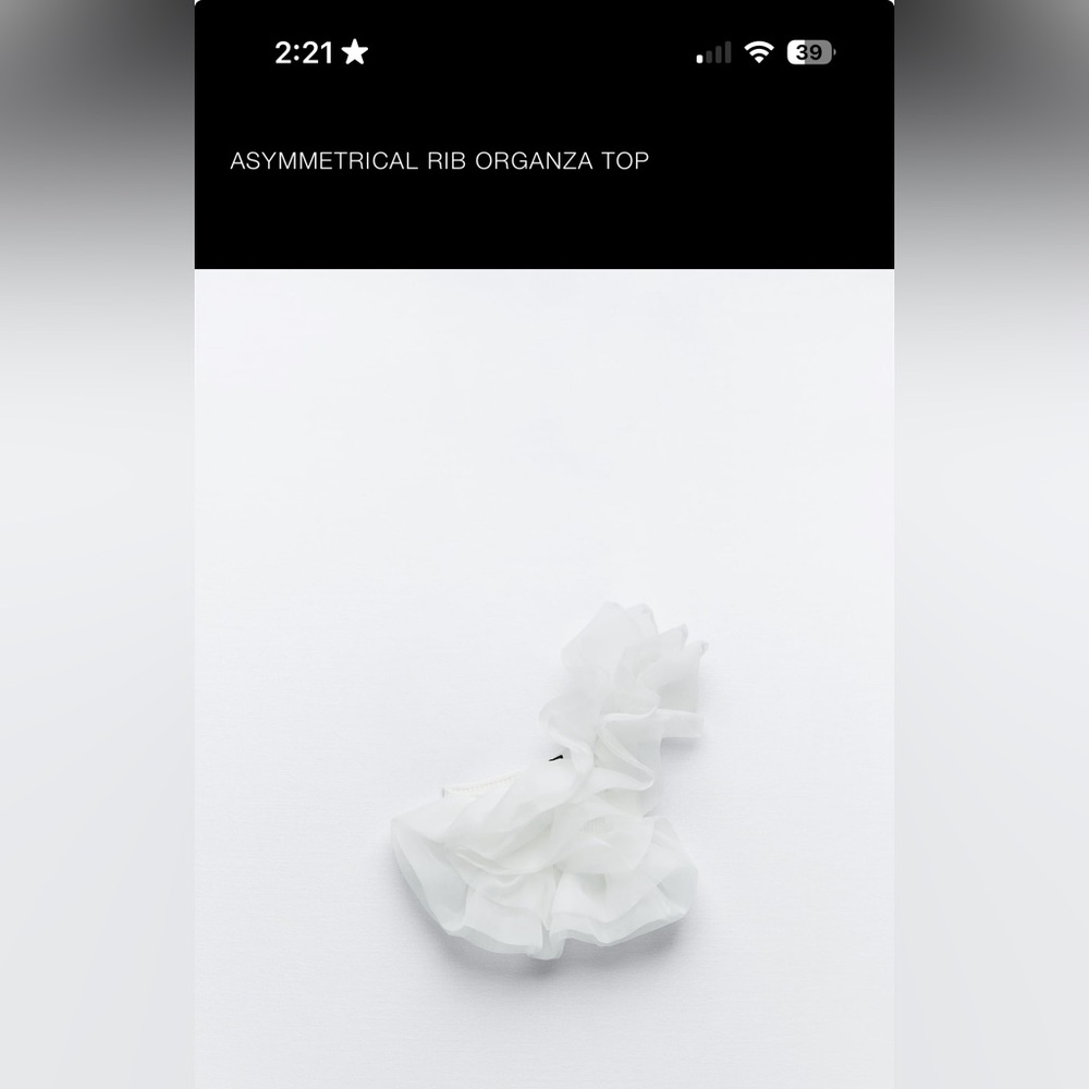 NWT Zara Organza crop top